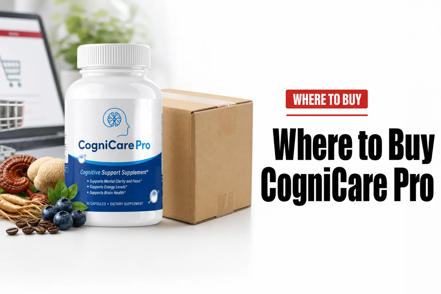 Editorial review thumbnail for CogniCare Pro featuring the bottle and the title 'where to buy cognicare pro'